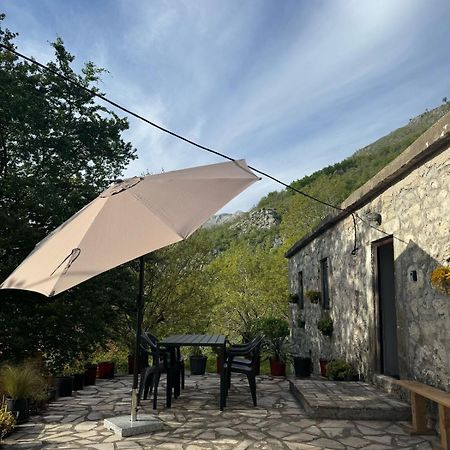 Nature Escape Montenegro Котор Экстерьер фото