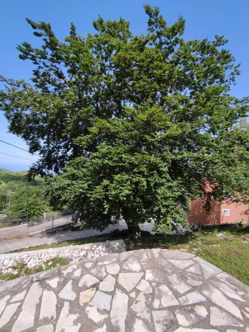 Nature Escape Montenegro Котор Экстерьер фото