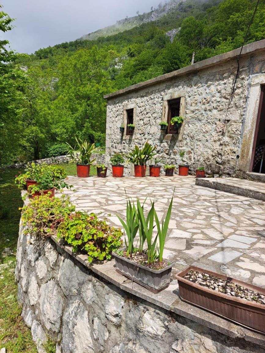 Nature Escape Montenegro Котор Экстерьер фото