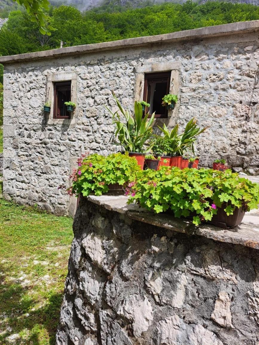 Nature Escape Montenegro Котор Экстерьер фото