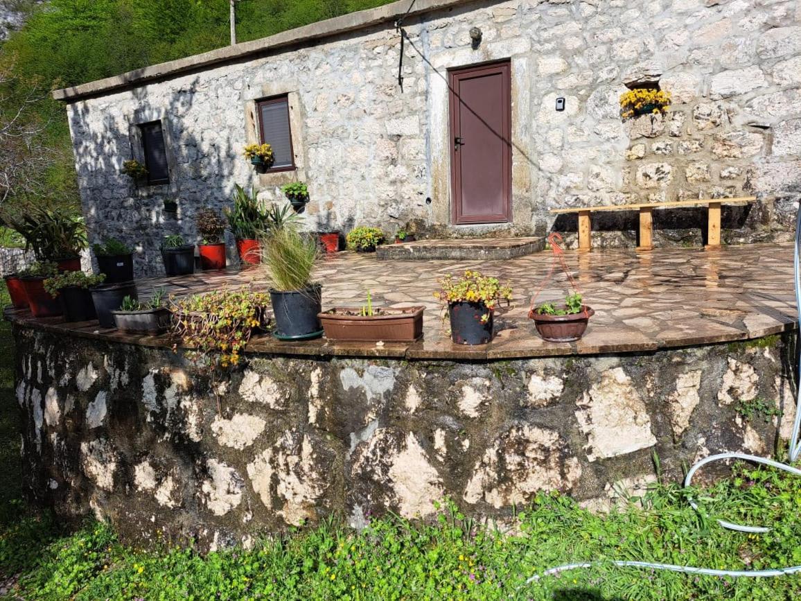 Nature Escape Montenegro Котор Экстерьер фото