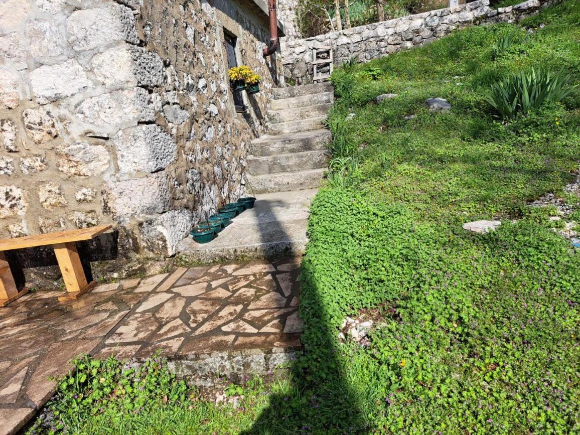 Nature Escape Montenegro Котор Экстерьер фото