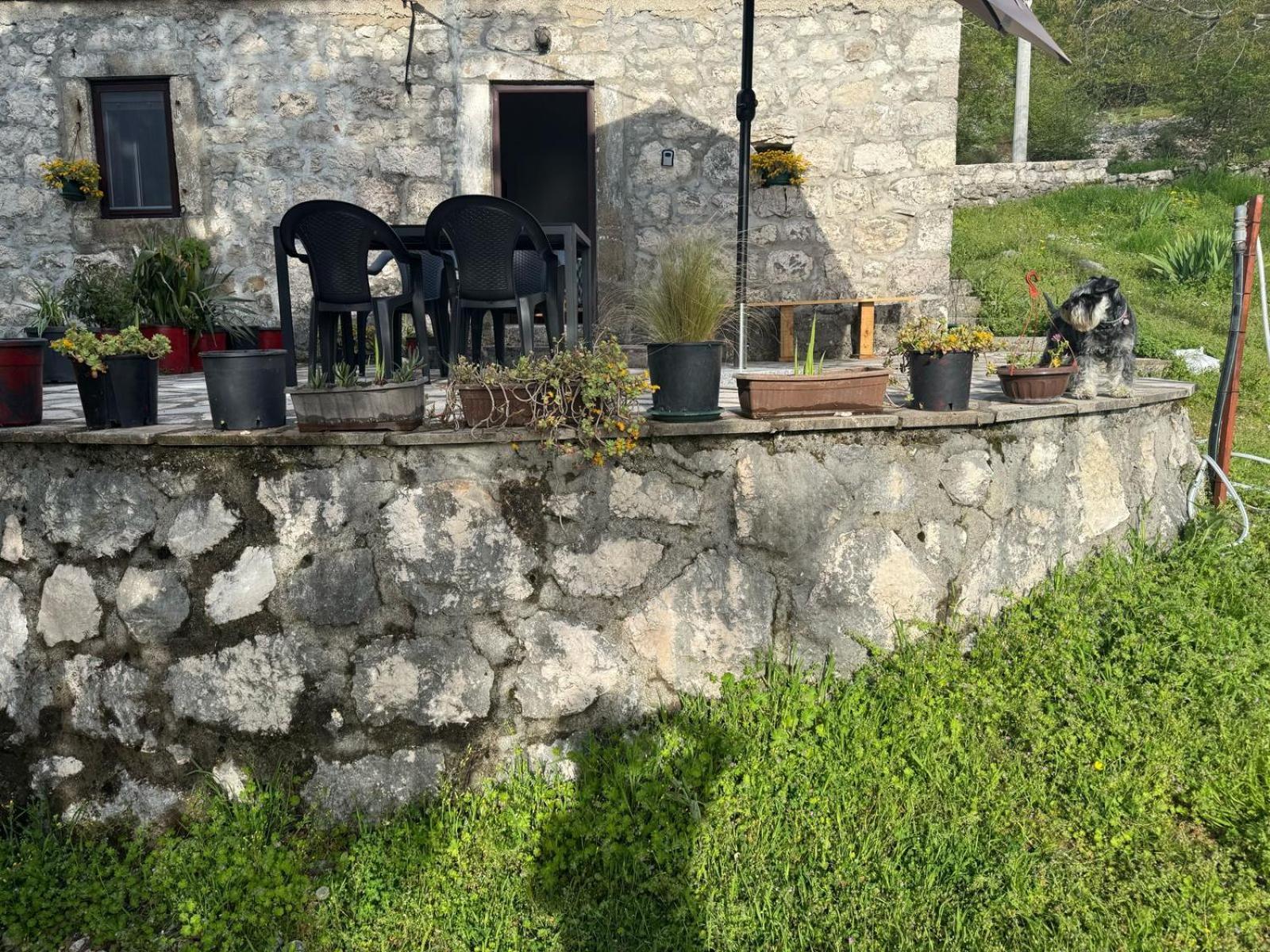 Nature Escape Montenegro Котор Экстерьер фото