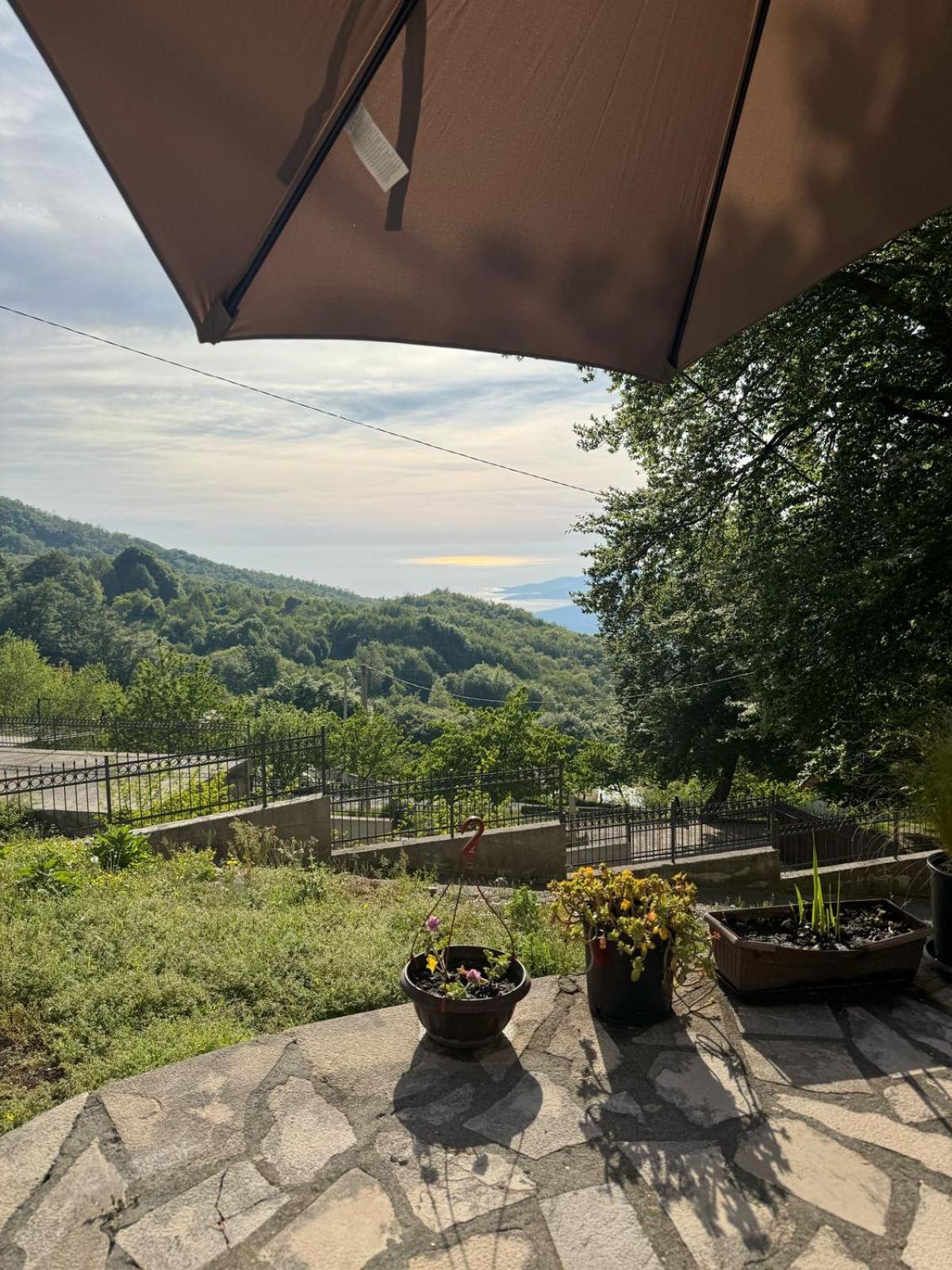 Nature Escape Montenegro Котор Экстерьер фото