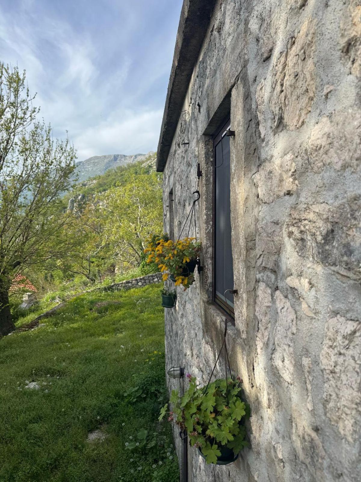 Nature Escape Montenegro Котор Экстерьер фото