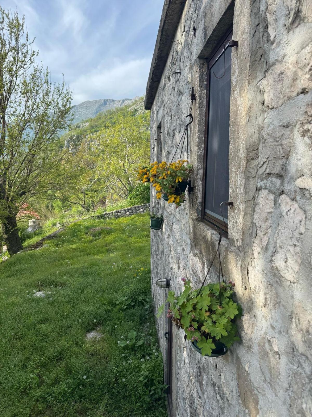 Nature Escape Montenegro Котор Экстерьер фото