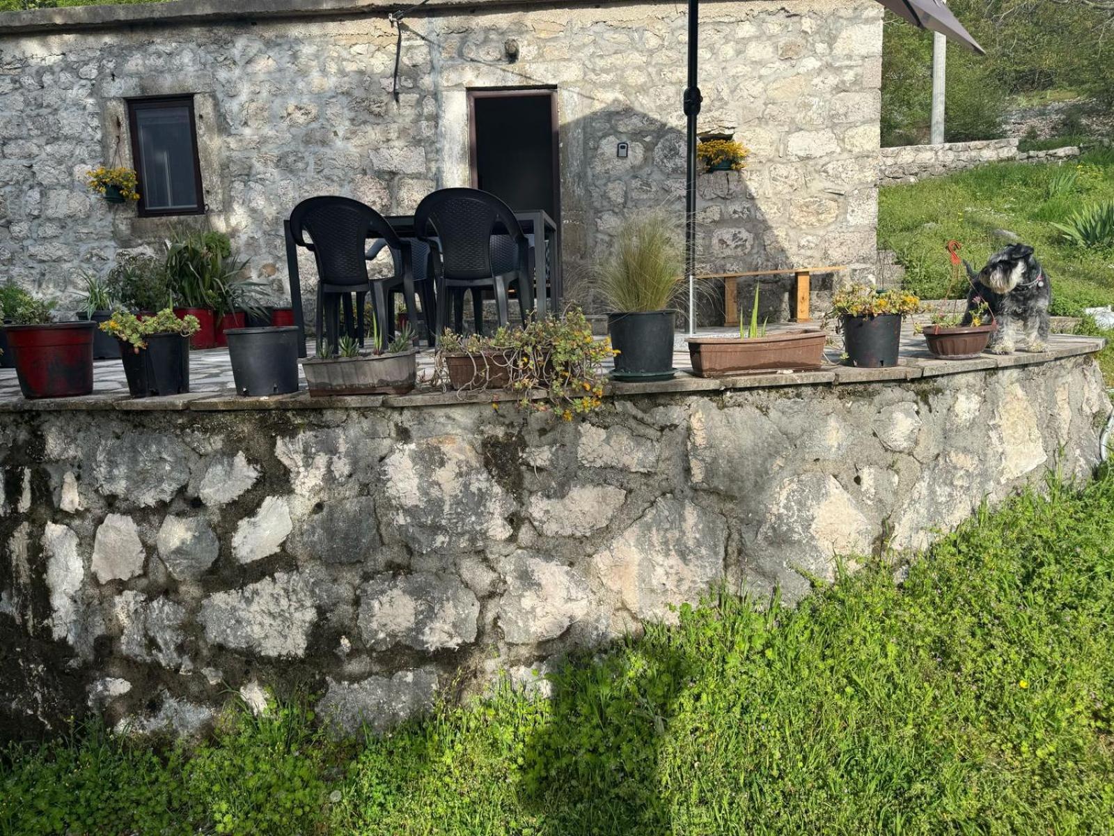 Nature Escape Montenegro Котор Экстерьер фото